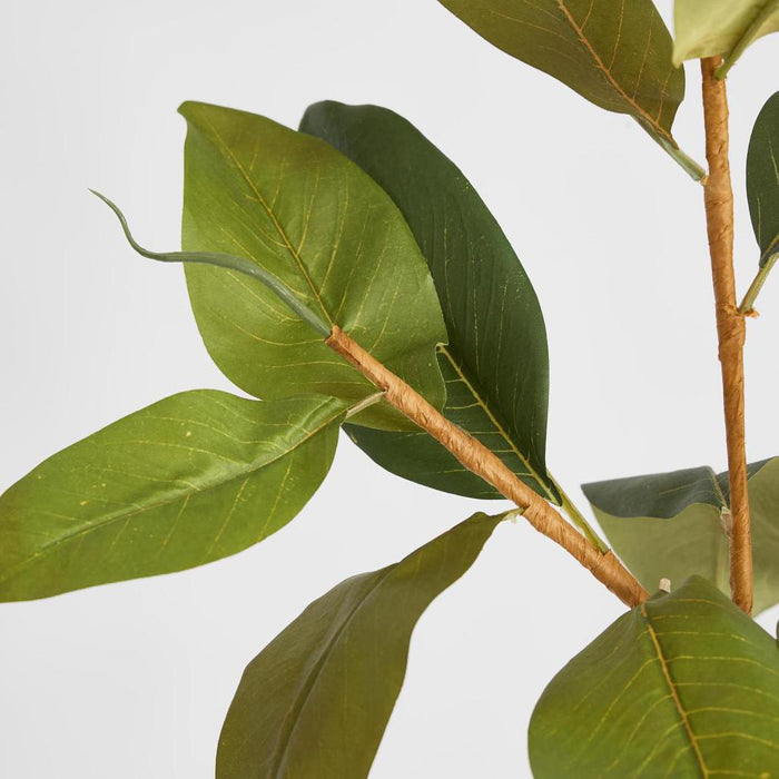 Autumn Magnolia Leaf Spray Stem 70cm 6 pcs