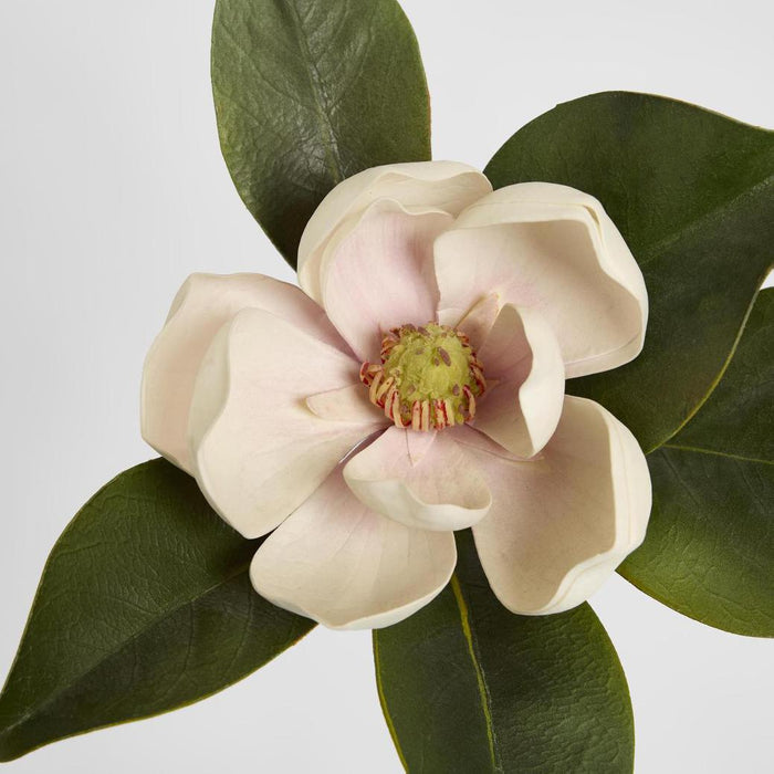 Magnolia Short Stem 60cm Light Pink