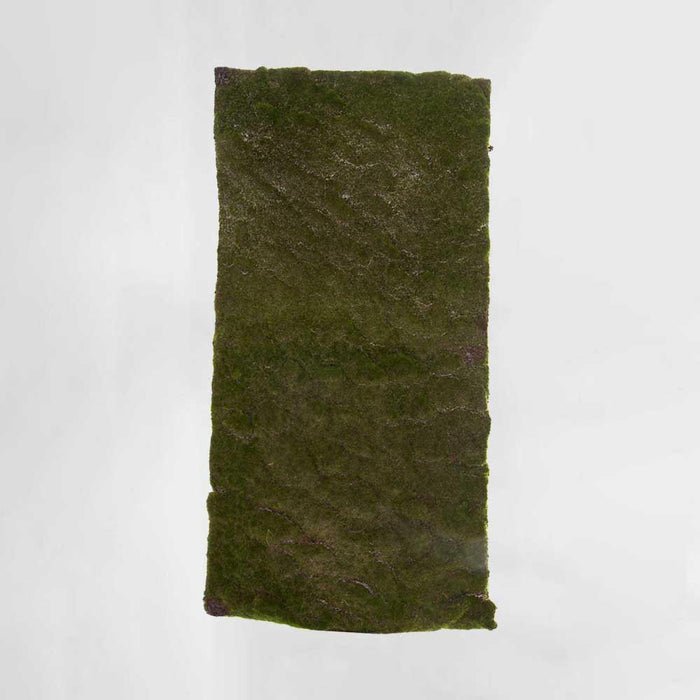 Moss Mat Large 100x50cm Green