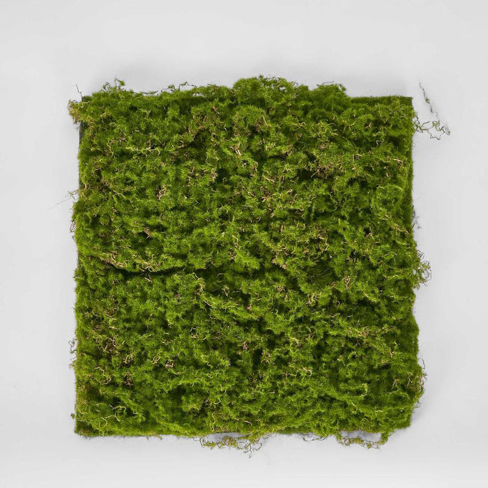 Moss Mat 40X40cm
