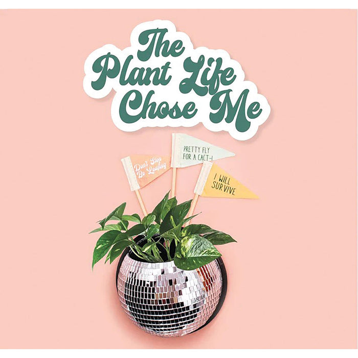 NSIMG-SHA256:6602ea0f2b8c4ccc38deab4ed9bba6768f1d9abb0c99fbad21ca485f04d123f6 · Isalbi NPW Magnetic Disco Planter Silver