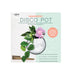 NSIMG-SHA256:53091bb30552ea43eeae792a8d7af9f1547647f287d6862475d89651a8da4d5a · Isalbi NPW Magnetic Disco Planter Silver