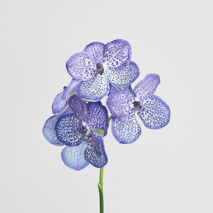 Vanda Orchid Stem 66cm Purple 3 pcs