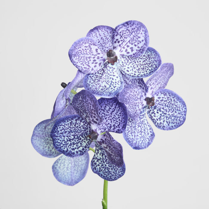 Vanda Orchid Stem 66cm Purple 3 pcs