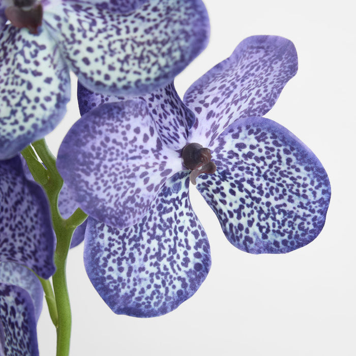 Vanda Orchid Stem 66cm Purple 3 pcs