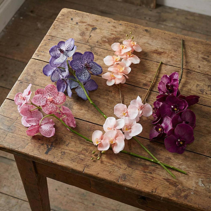 Vanda Orchid Stem 66cm Purple 3 pcs
