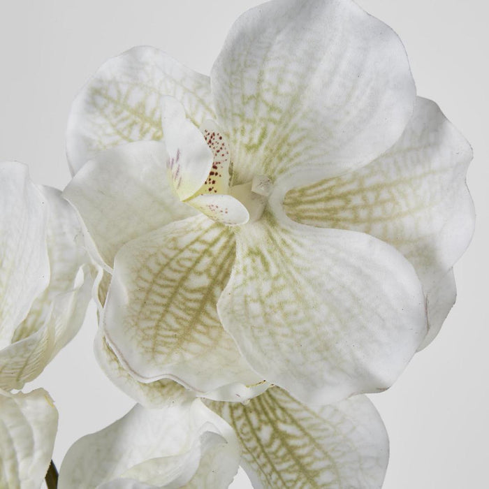 Real Touch phalaenopsis Orchid 78cm White