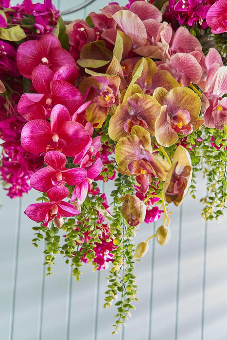 Orchid Phalaenopsis Spray 74cm Green