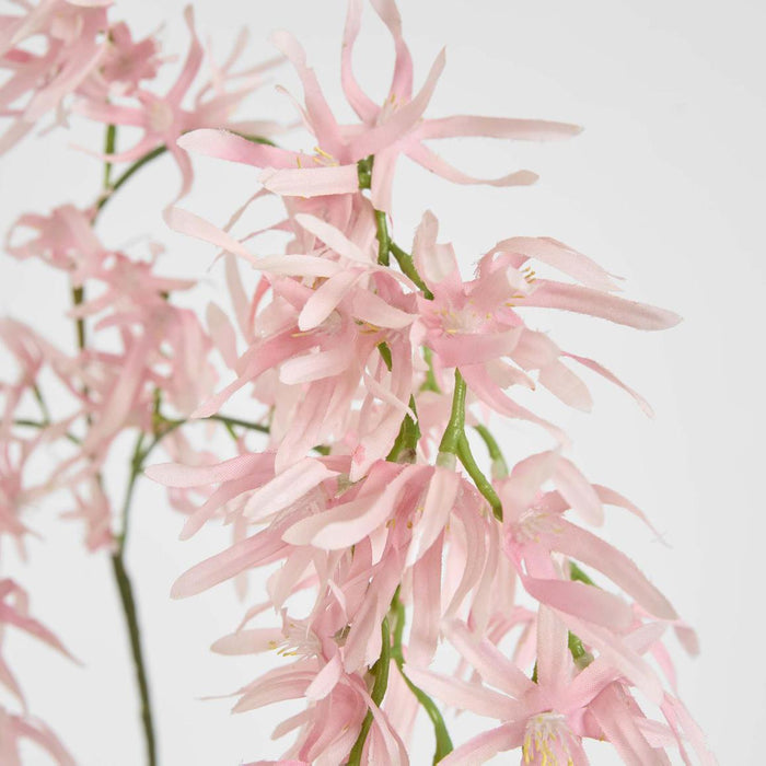 Orchid Spider Hanging 1.1m Pink