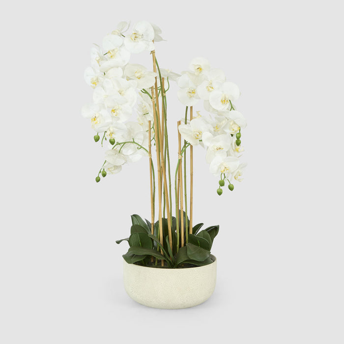 Orchid Potted Real Touch 100cm White