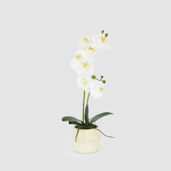 Real Touch Phalaenopsis Arrangement in Zara Pot 46cm