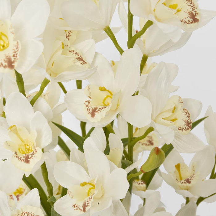 Orchid Cymbidium Real Touch Orchid In Black Pot