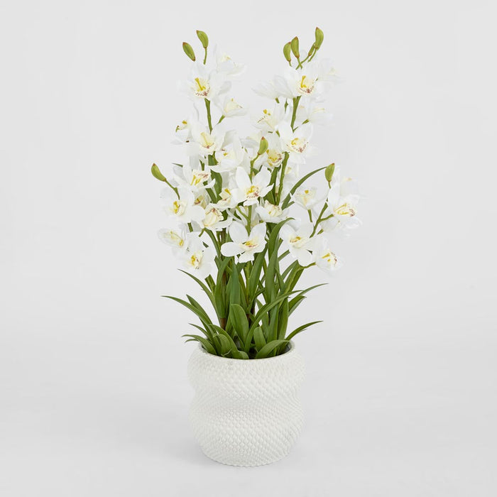Orchid Cymbidium Real Touch Orchid In Black Pot