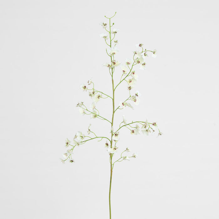 Dancing Orchid 93cm White