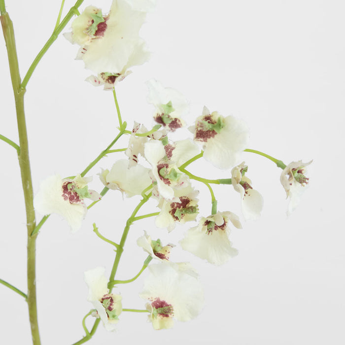 Dancing Orchid 93cm White