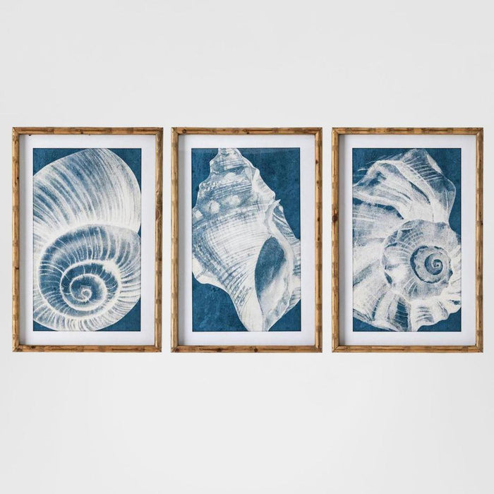 Elouera Vintage Shells Wall Art