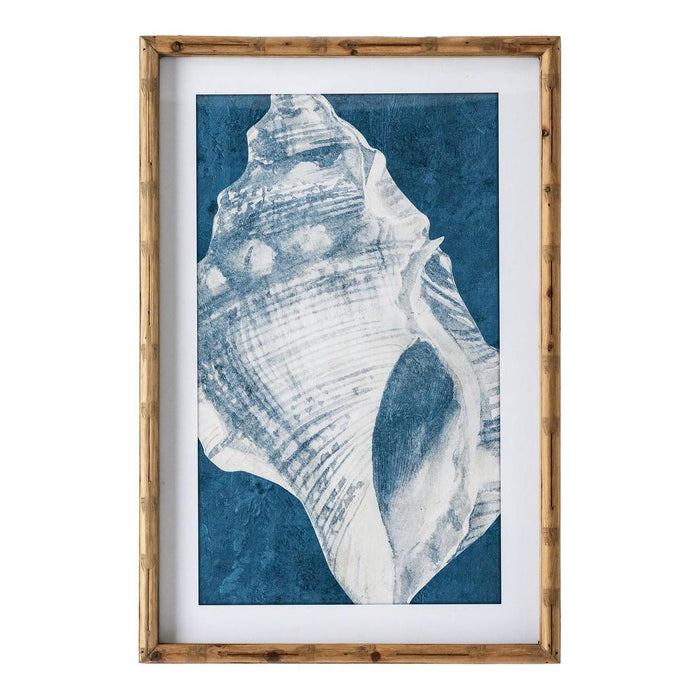 Elouera Vintage Shells Wall Art