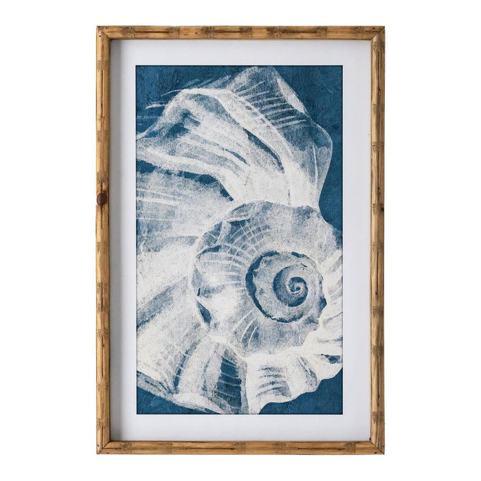 Elouera Vintage Shells Wall Art