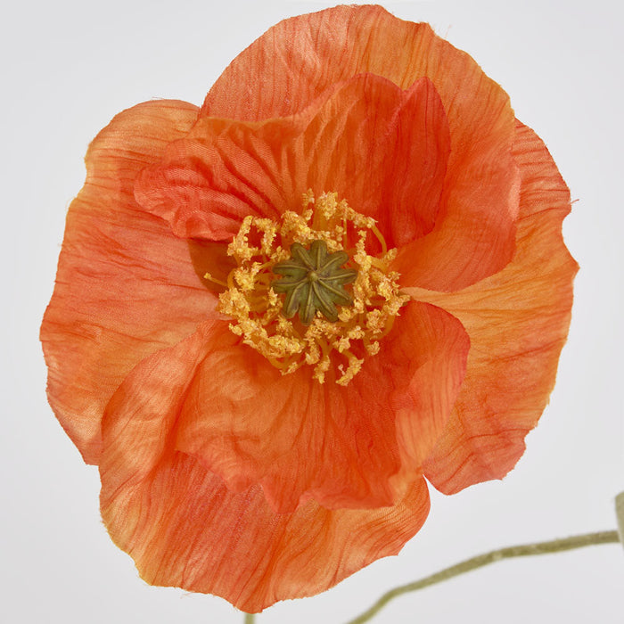 Poppy Stem 68cm Orange 6 pcs