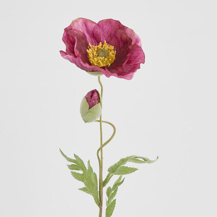 Poppy Stem 68cm Plum 6 pcs