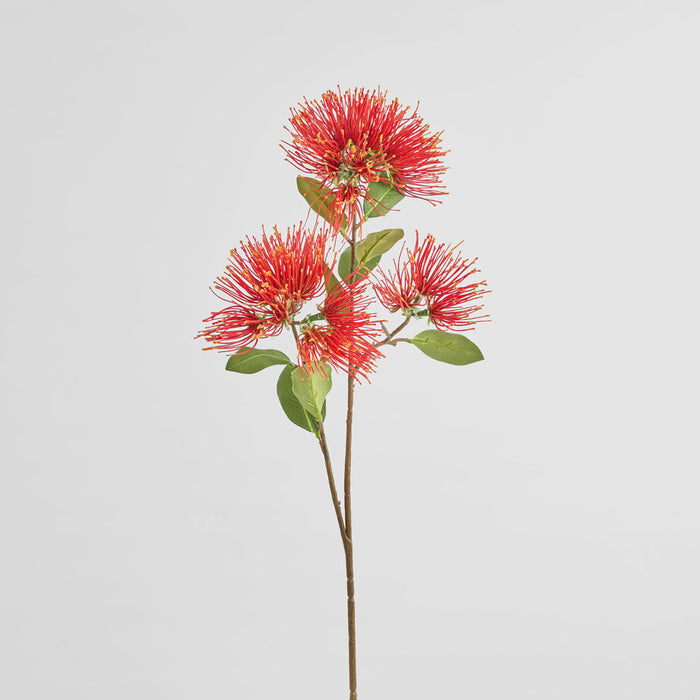 Protea Leucospermum 52cm Red