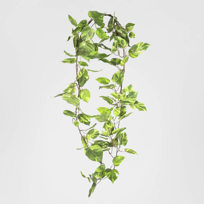 Pothos Garland 1.6m 3 pcs