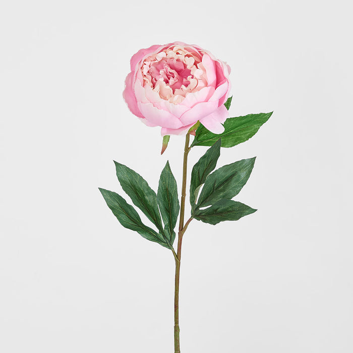 Peony Half Open 70cm Pink 6 pcs