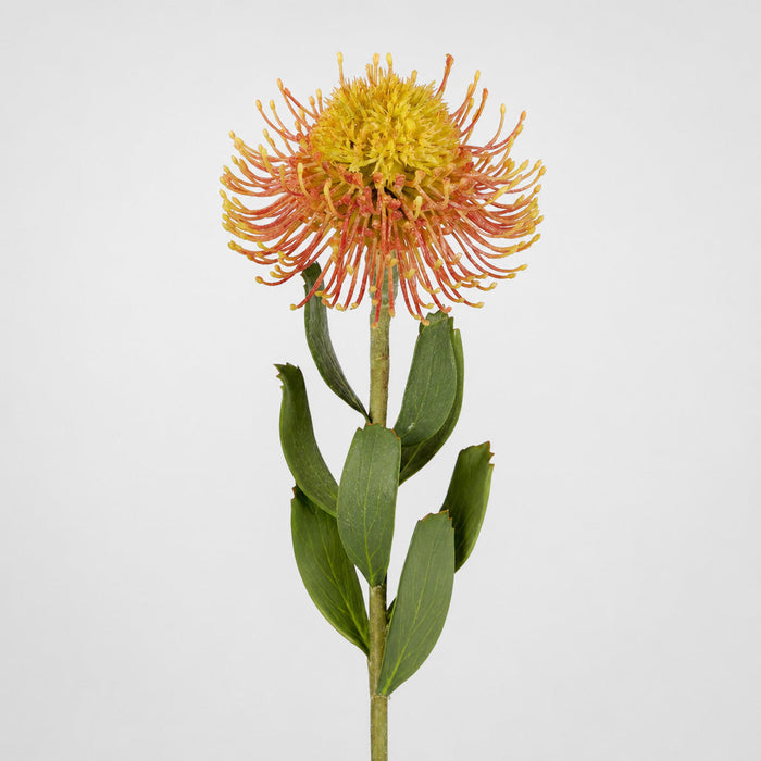 Pincushion Flower Stem 58cm Orange 6 pcs