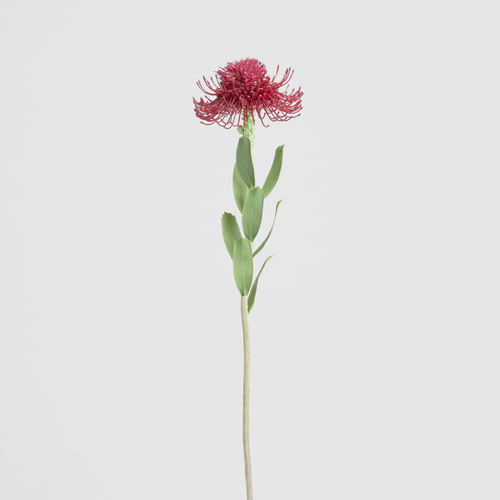 Pincushion Flower Stem 58cm Red 6 pcs