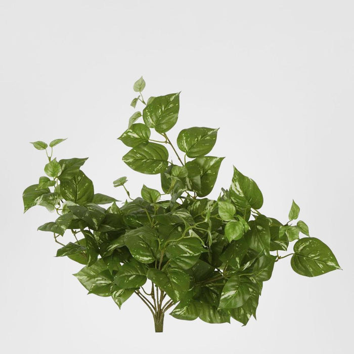 Pothos Leaf Hanging Vine Dark Green 3 pcs