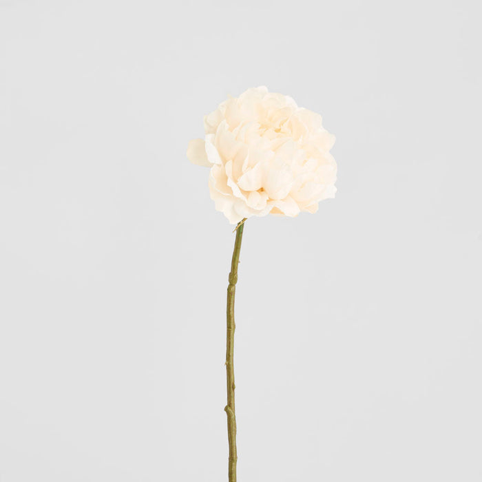 Peony White 64cm 12 pcs