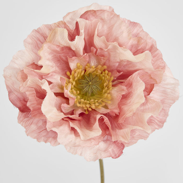 Poppy Stem 75cm Pink 12 pcs