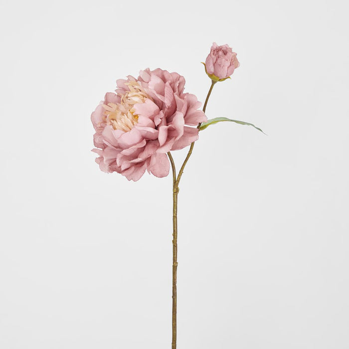 Peony Stem 61cm Pink 8 pcs
