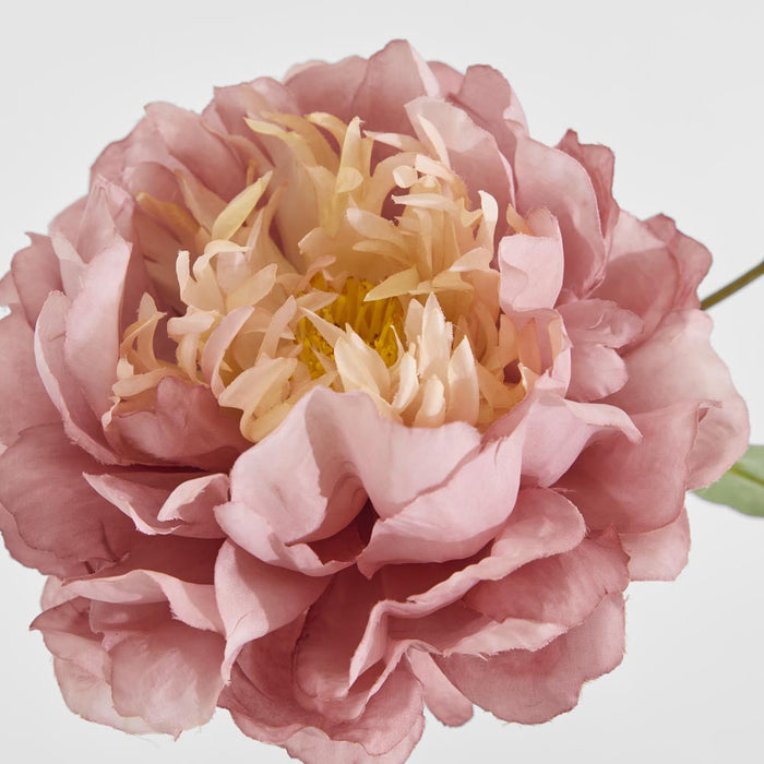 Peony Stem 61cm Pink 8 pcs
