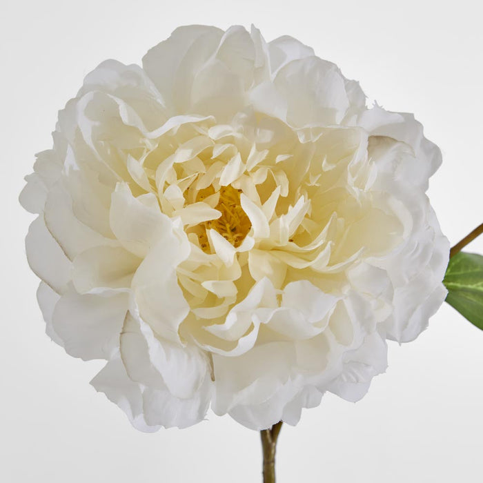 Peony Stem 61cm White 8 pcs