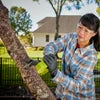 Ryobi ONE+ 18V 6 in. Battery Compact Pruning Mini Chainsaw (TOOL ONLY- battery and charger NOT INCLUDED)