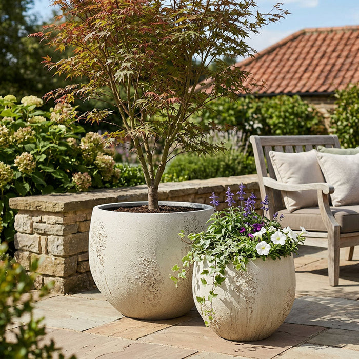 Oyster Planter LGE Chalk