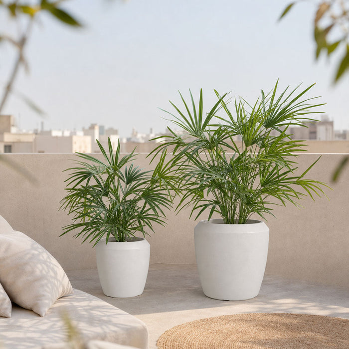Pebble Planters White