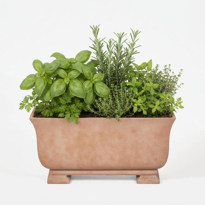 Murcia Long Planter Terracotta