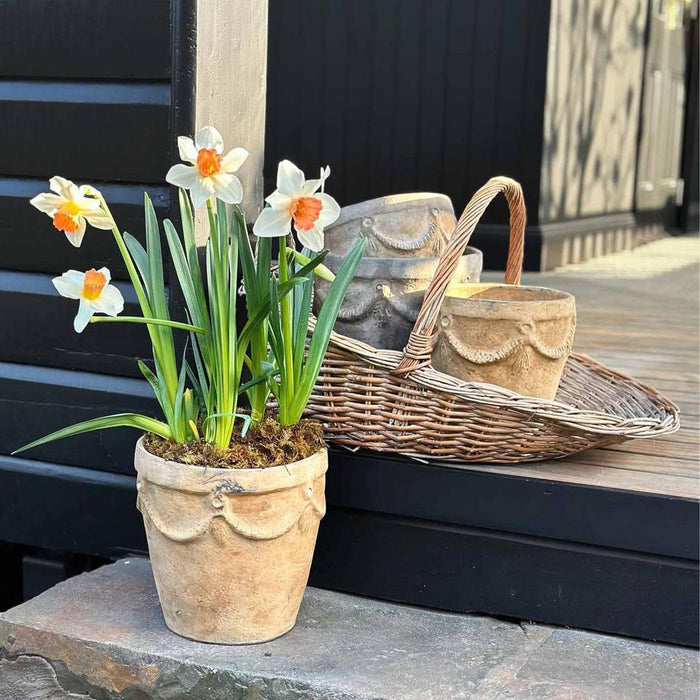 Willow Trug
