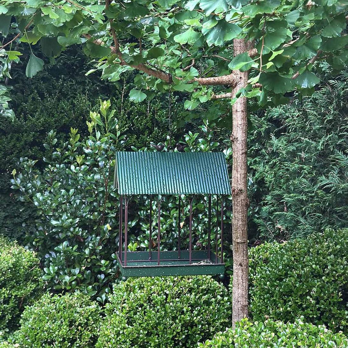 Bird Feeder House