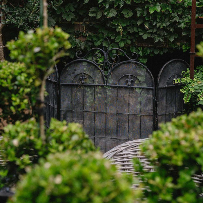 Fleur De Lys Firescreen Black