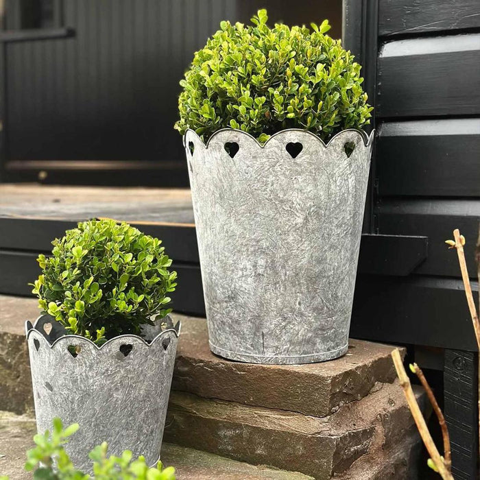 Scalloped Planter With Hearts Set of Two