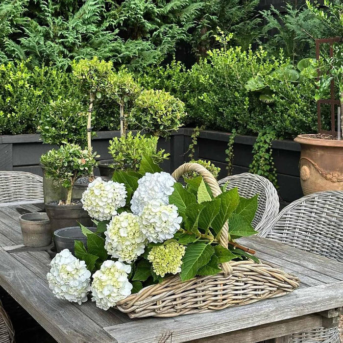 Luna Garden basket