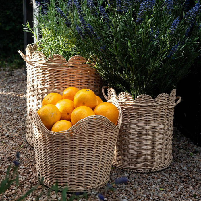 Festonne Baskets