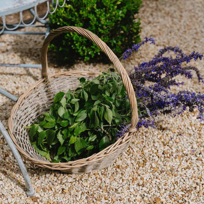 Provender Basket