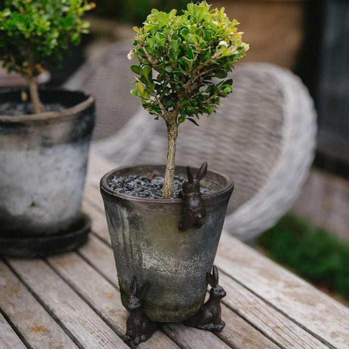 Hare Cast Iron Pot Feet