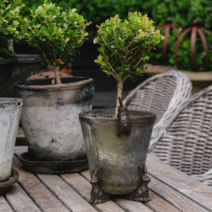 Benny Hare Cast Iron Pot Hugger 6 pcs