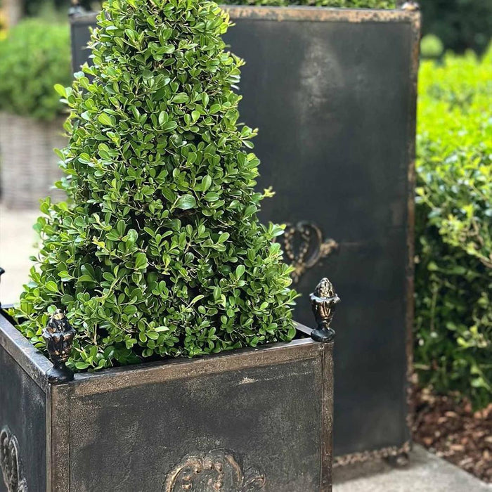 Estate Footed Iron Planters (Set of 3)