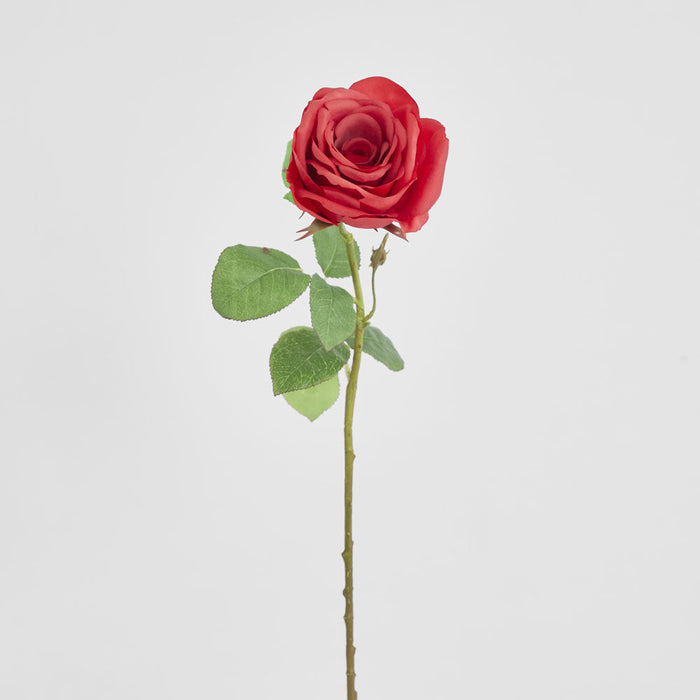 Cabbage Rose Real Touch 65cm Red 6 pcs